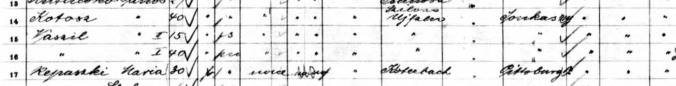 Jan Vasziľ Immigration Record